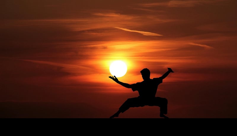 Wu Style Tai Chi